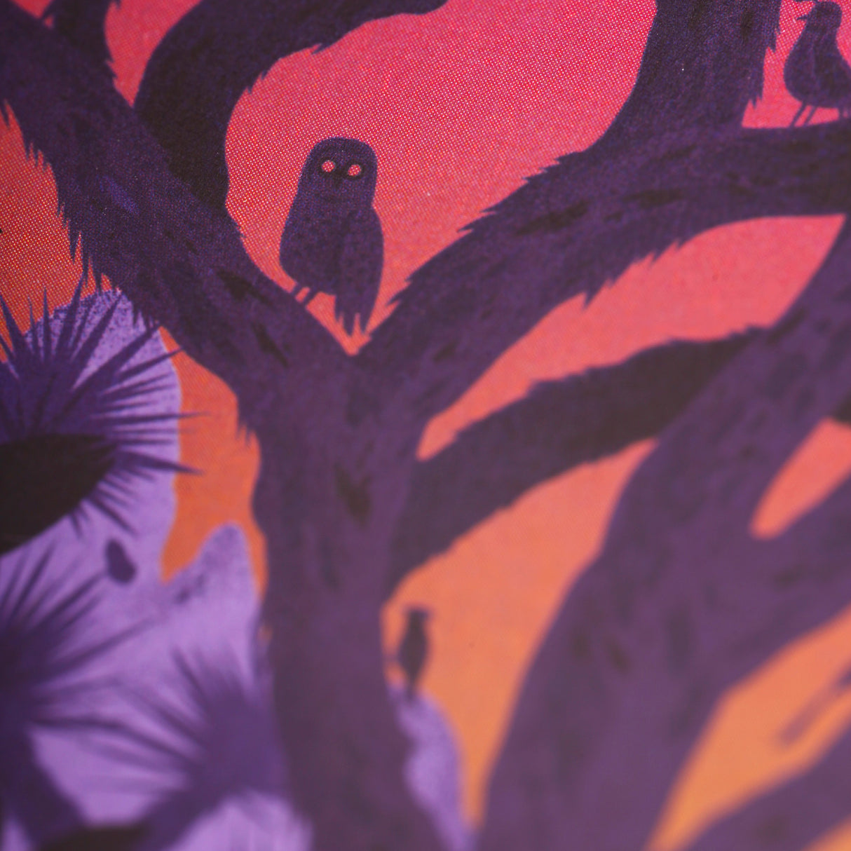 National Parks 3-Pack Memo Book