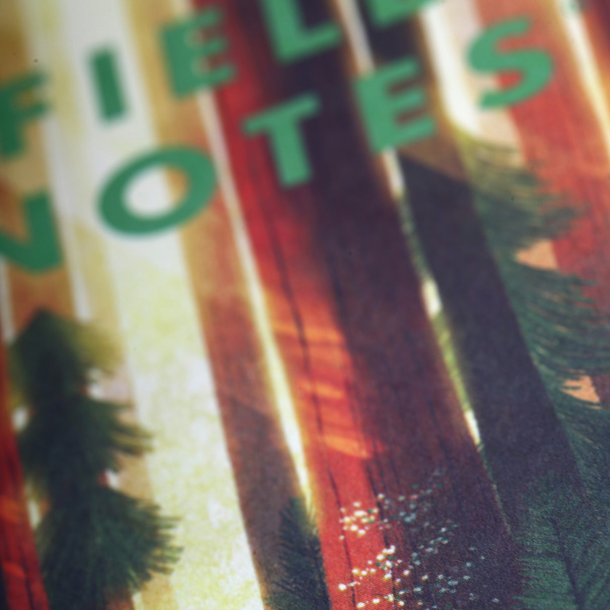 National Parks 3-Pack Memo Book