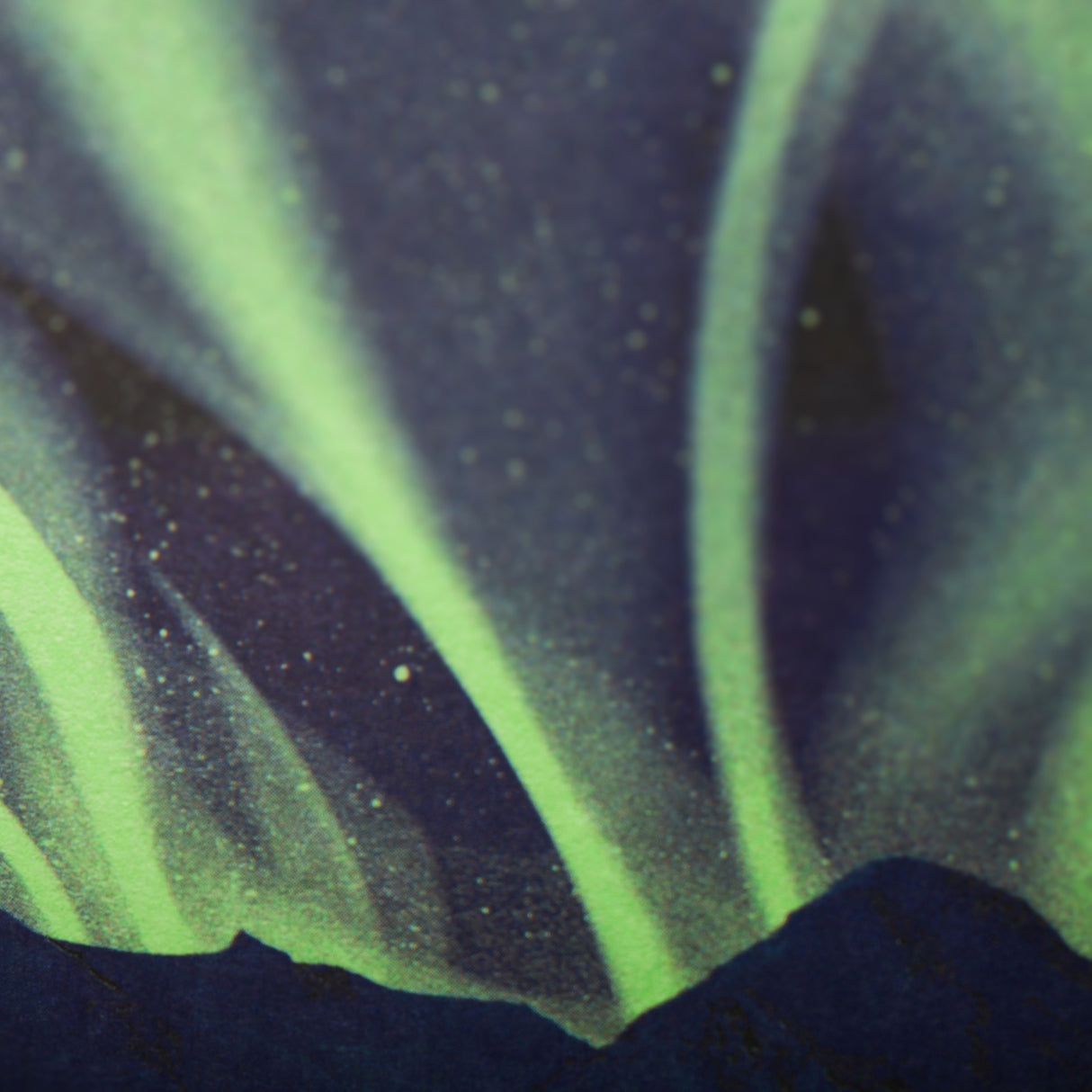 National Parks 3-Pack Memo Book