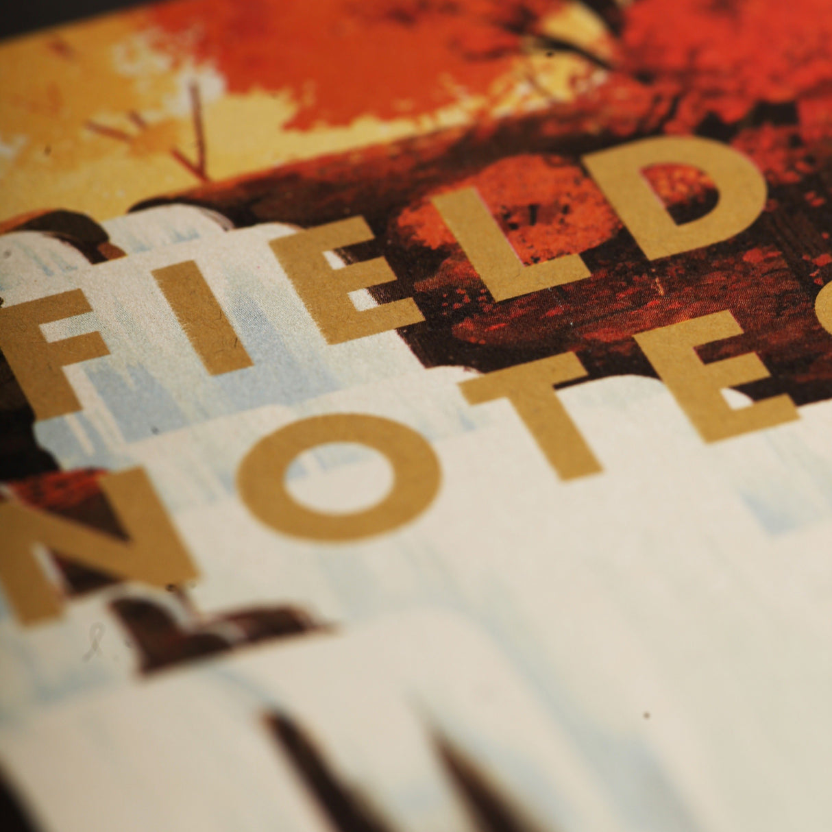 National Parks 3-Pack Memo Book