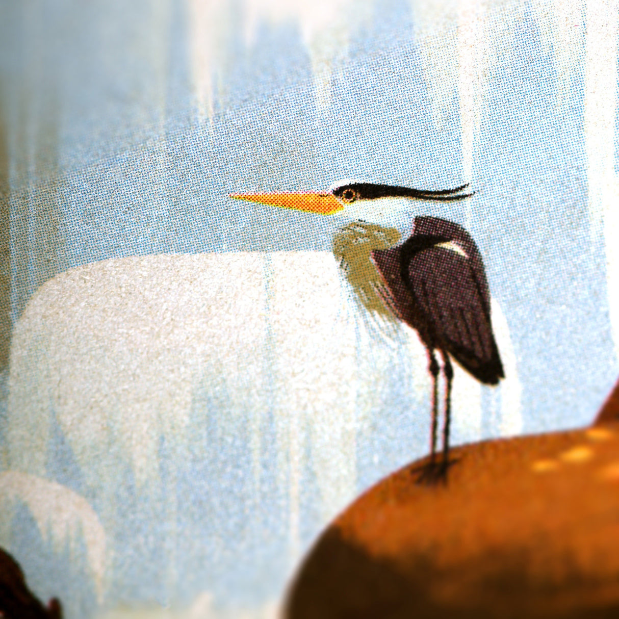 National Parks 3-Pack Memo Book