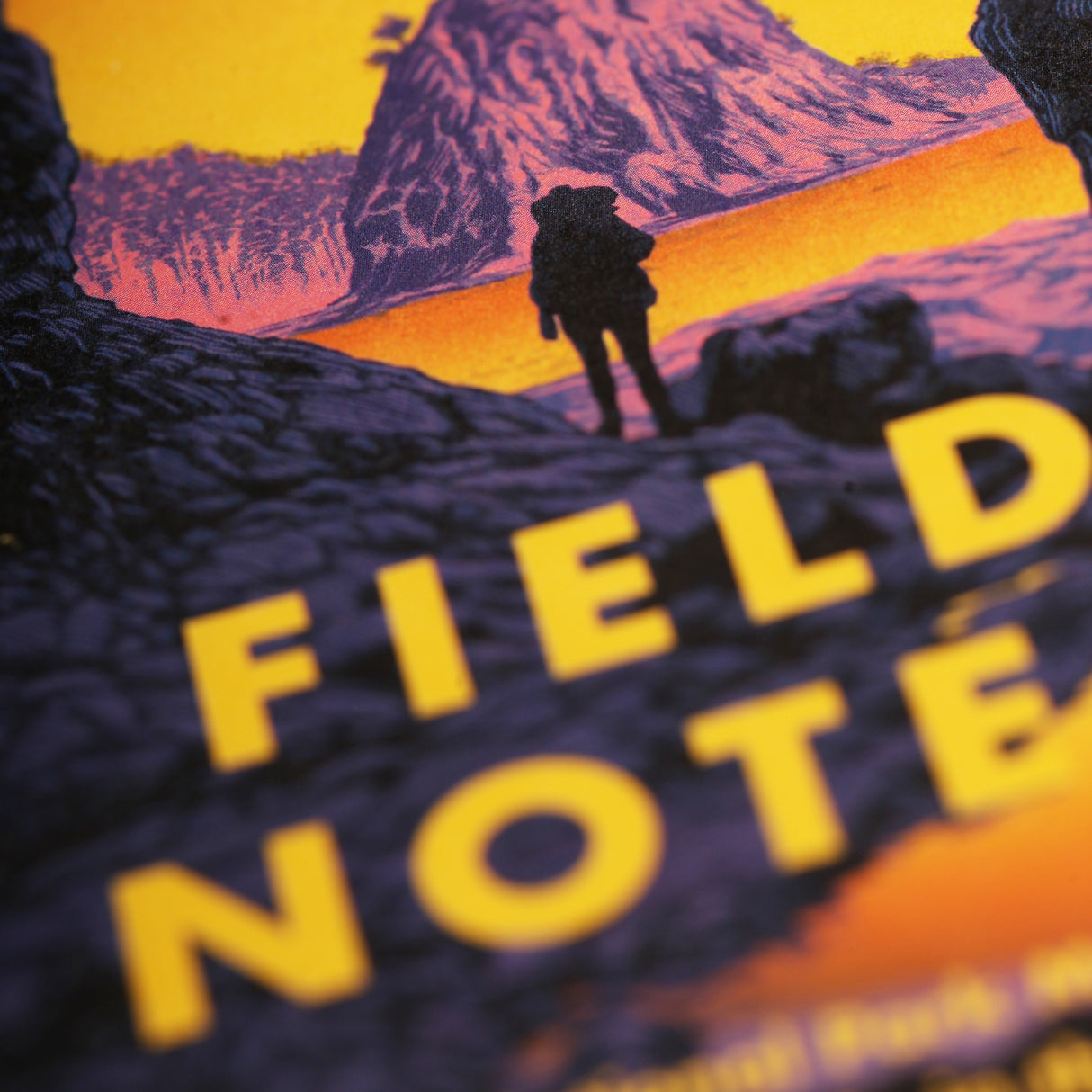 National Parks 3-Pack Memo Book