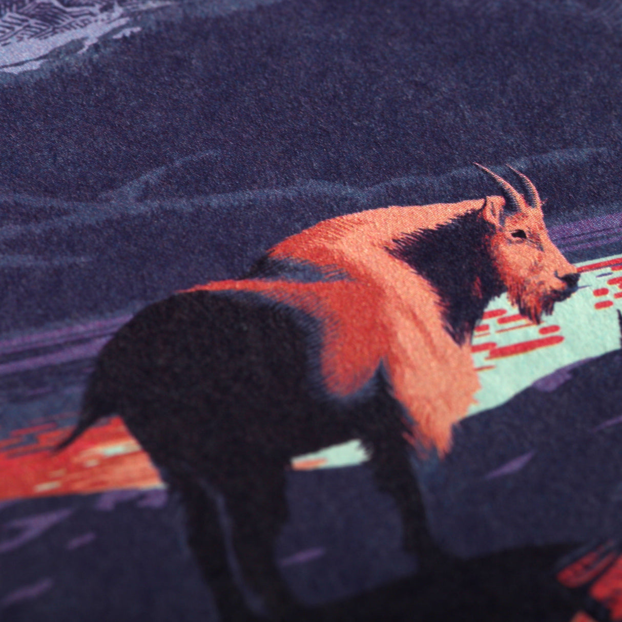 National Parks 3-Pack Memo Book