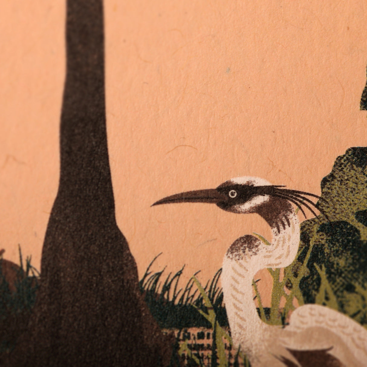 National Parks 3-Pack Memo Book