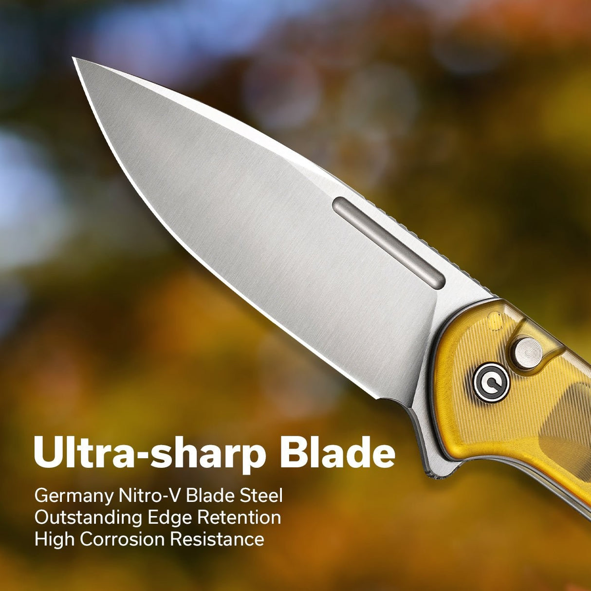 Conspirator - Veitsi