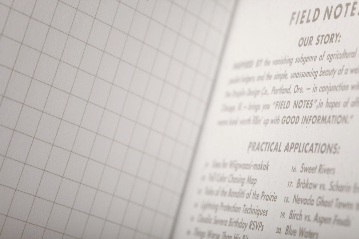 Birch Bark 3-Pack Memo Book