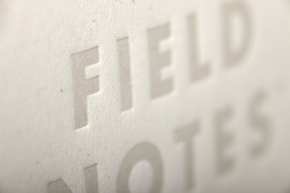 Birch Bark 3-Pack Memo Book