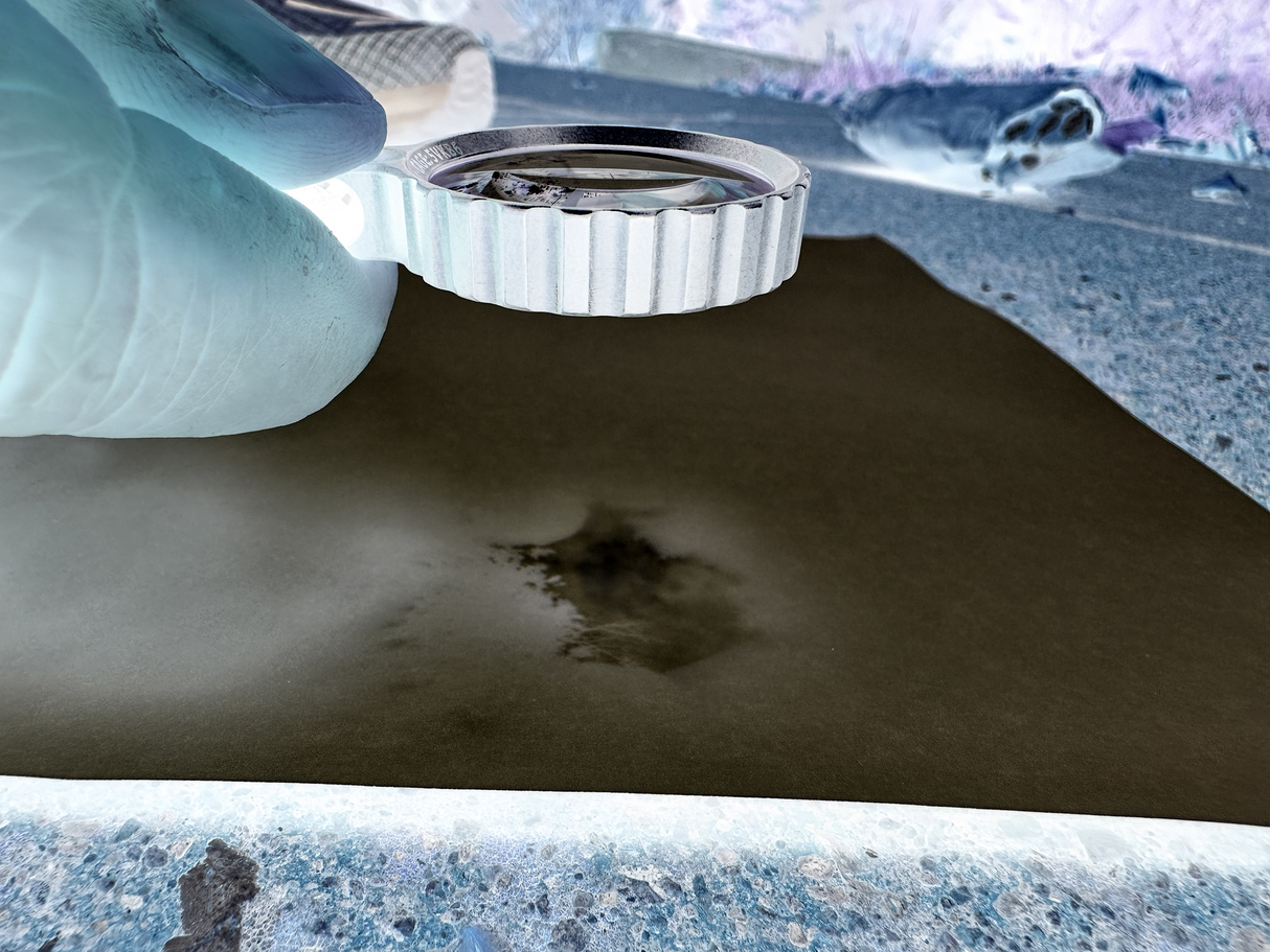 Titan Zoom Pocket Magnifier