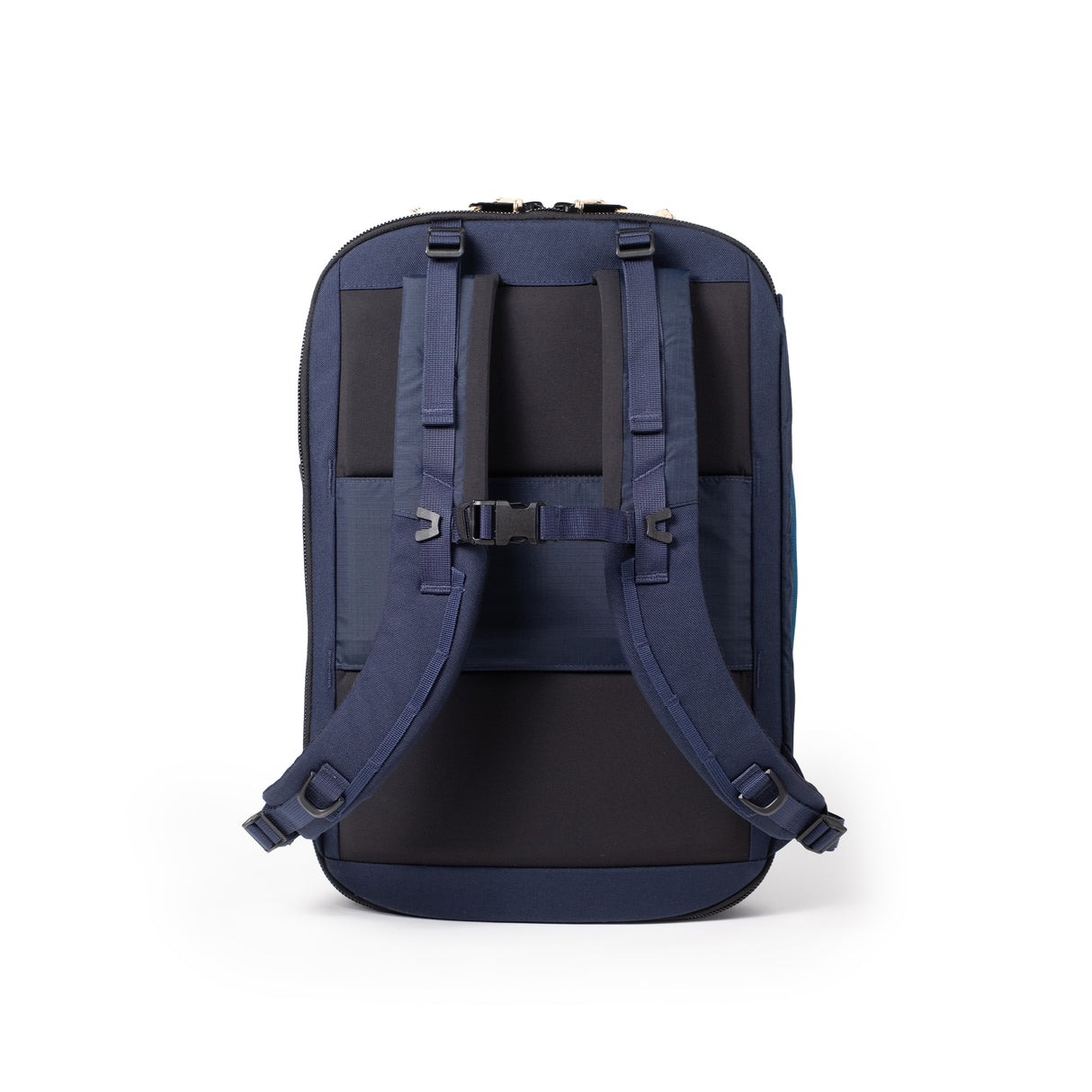Global Travel Backpack