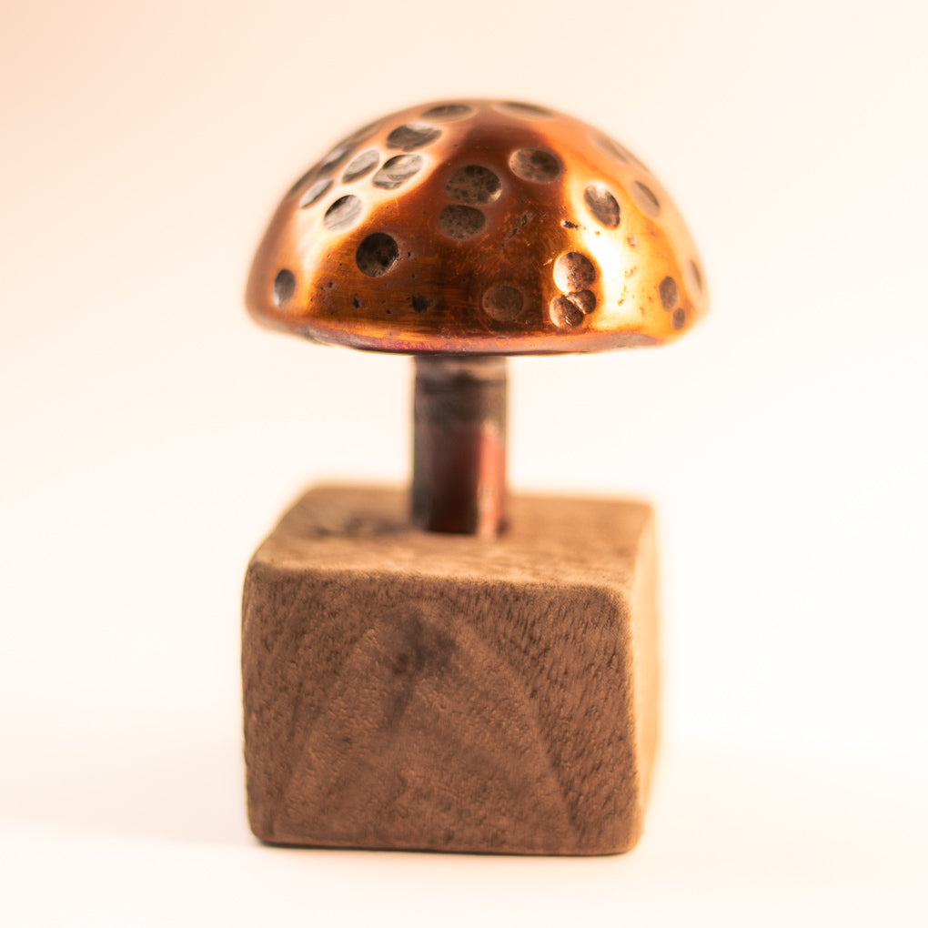 Copper Mushroom