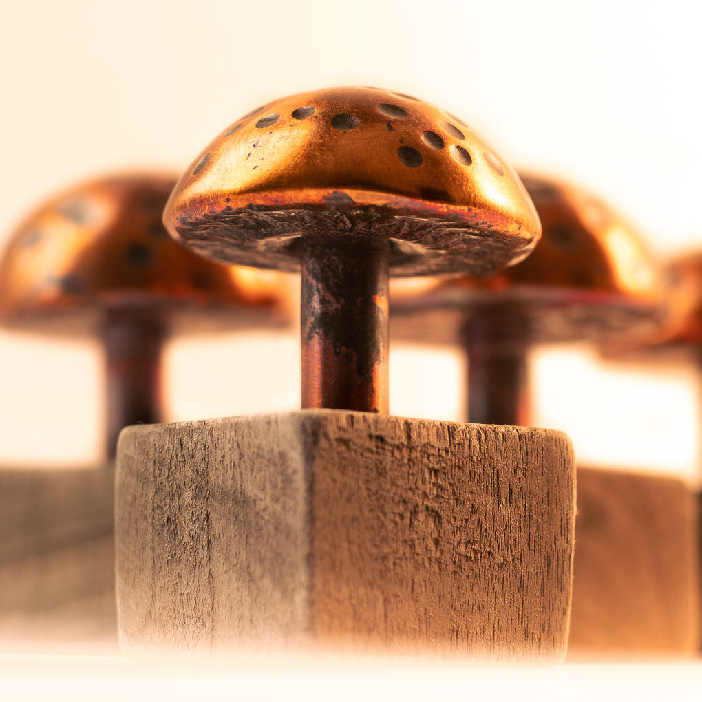 Copper Mushroom