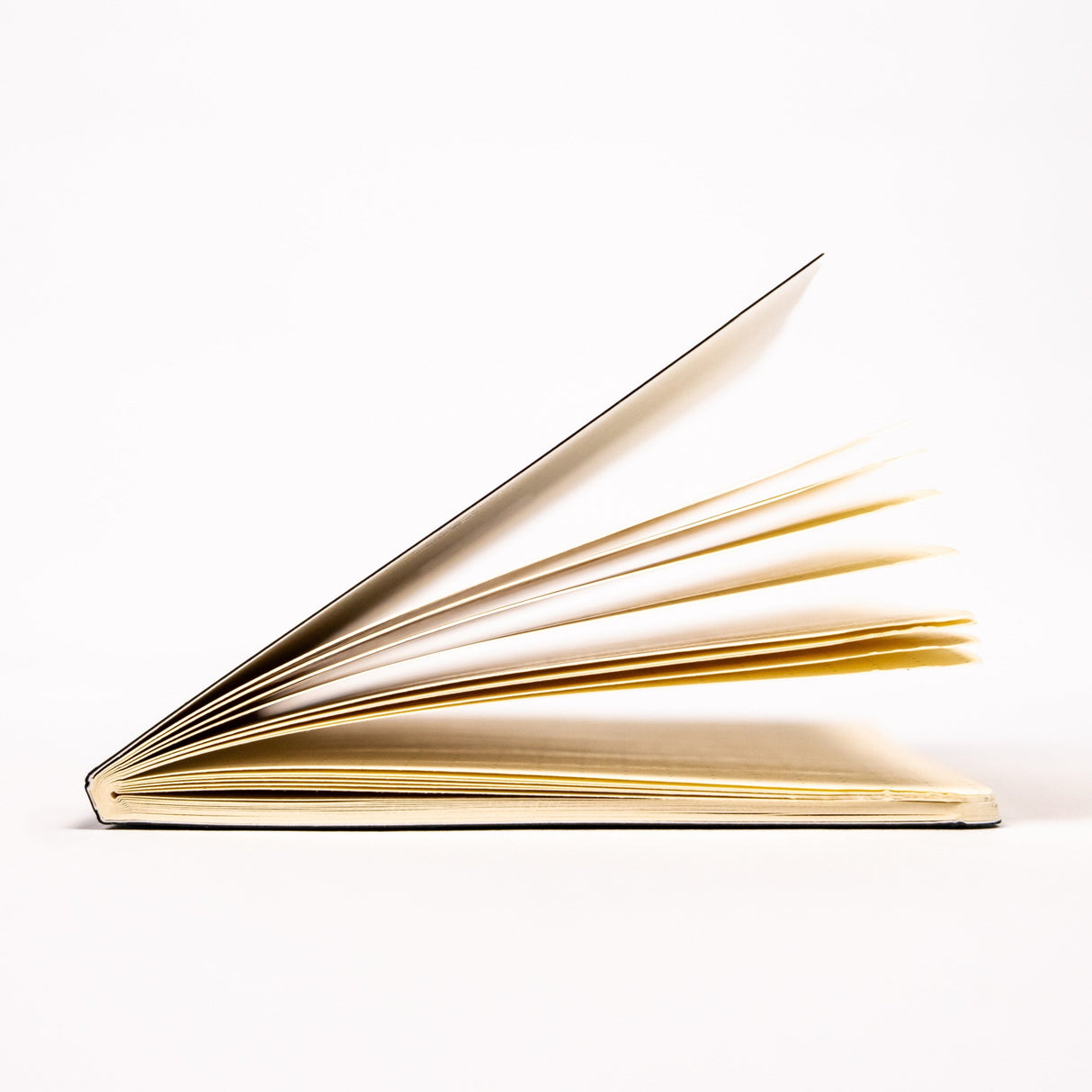 Everyday Notebook 3-Pack