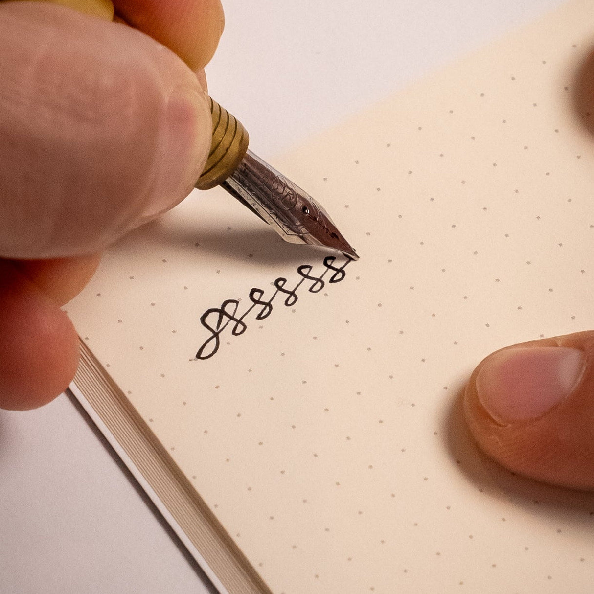 Everyday Notebook 3-Pack