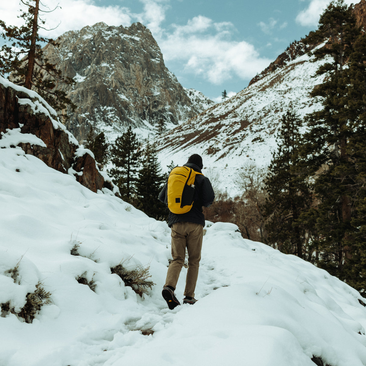 Mountain Panel Loader 22 L Backpack