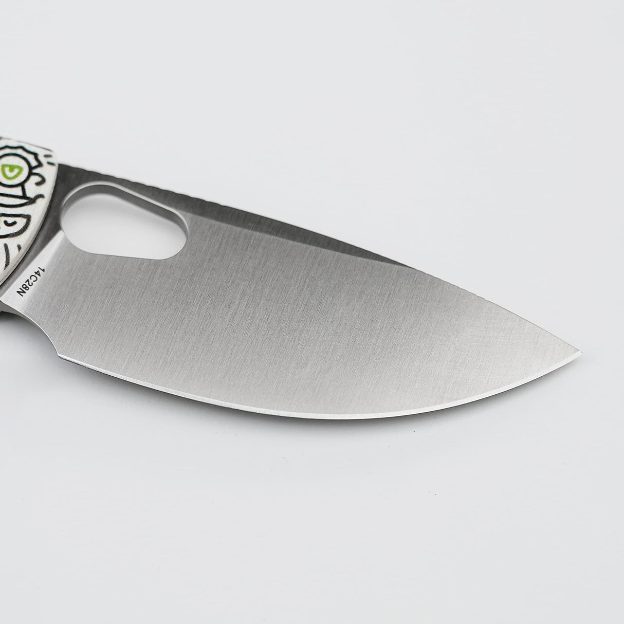 Porcupine-A2620__9.jpg