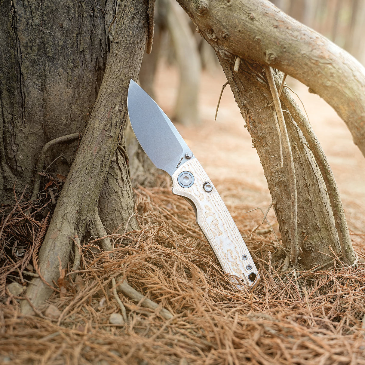 Porcupine-Thumbstud-A2626__12.jpg