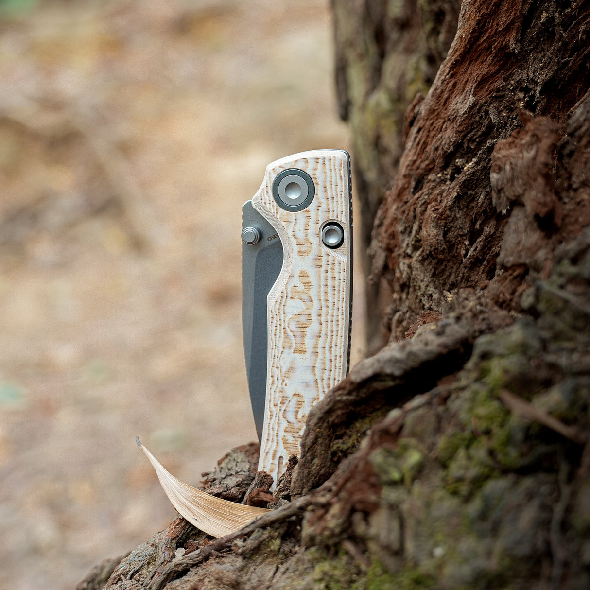 Porcupine-Thumbstud-A2626__14.jpg