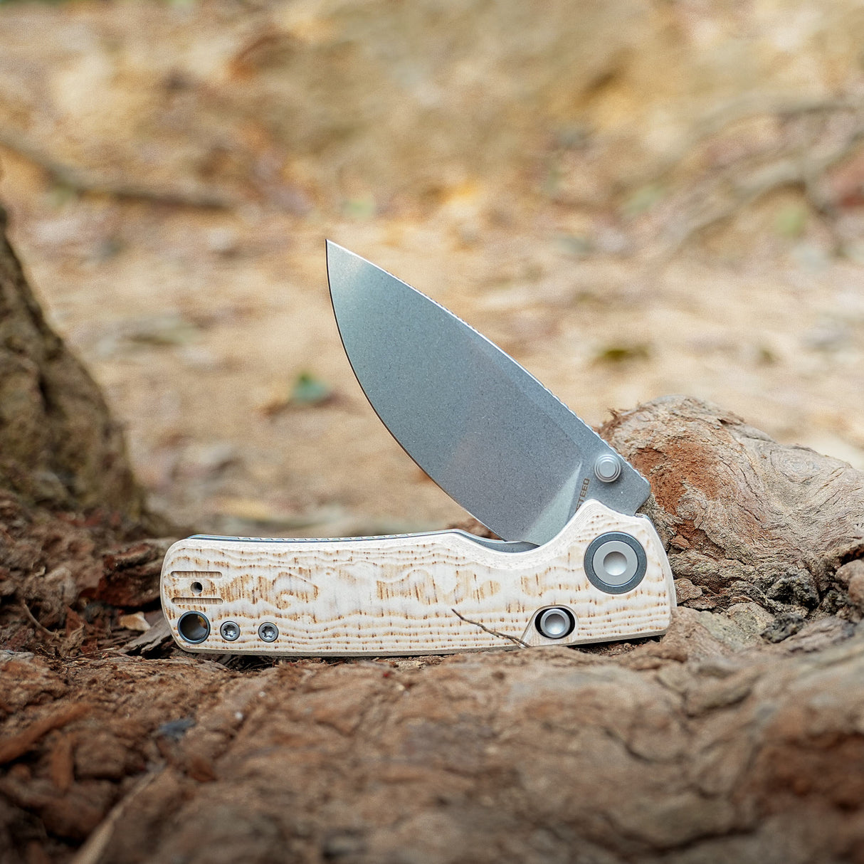 Porcupine-Thumbstud-A2626__15.jpg