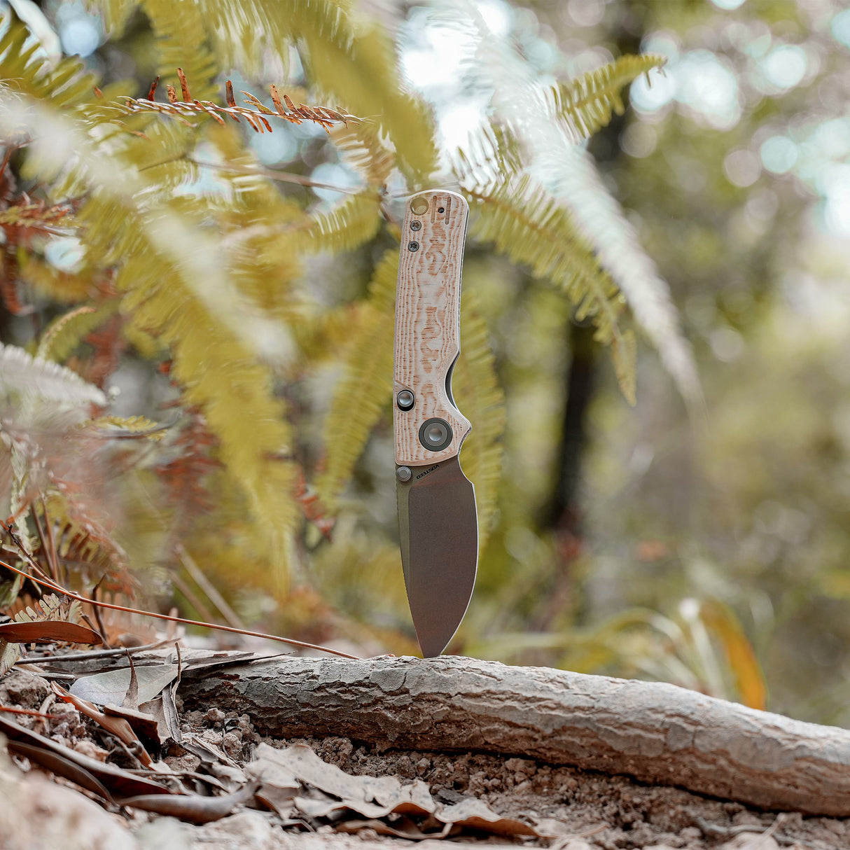 Porcupine-Thumbstud-A2626__17.jpg