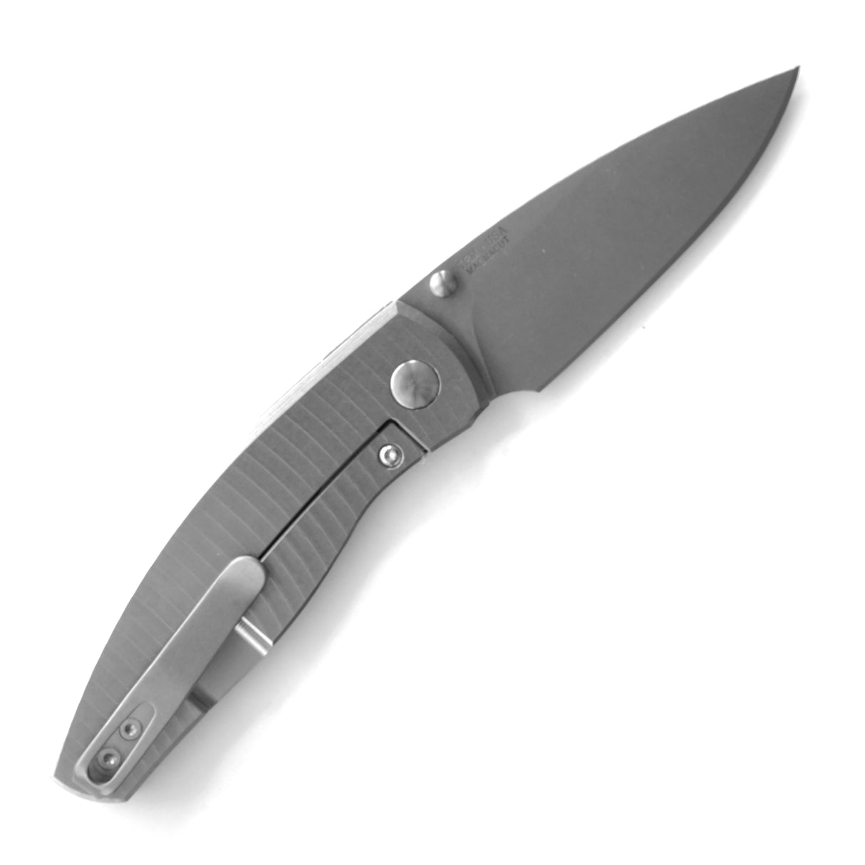 Neutron 2 Framelock Knife