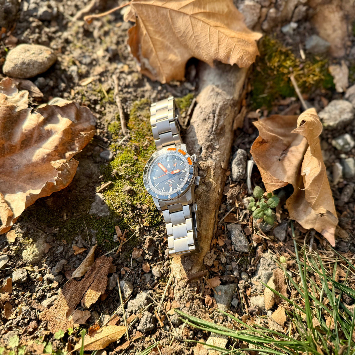 CountyComm Alto Mare 9075 GMT Watch
