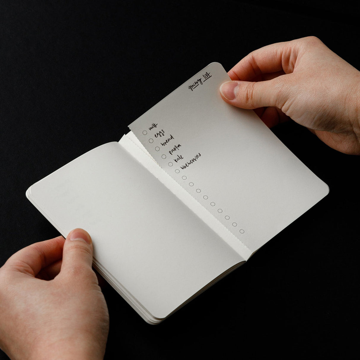 Organization Notebook 3-Pack