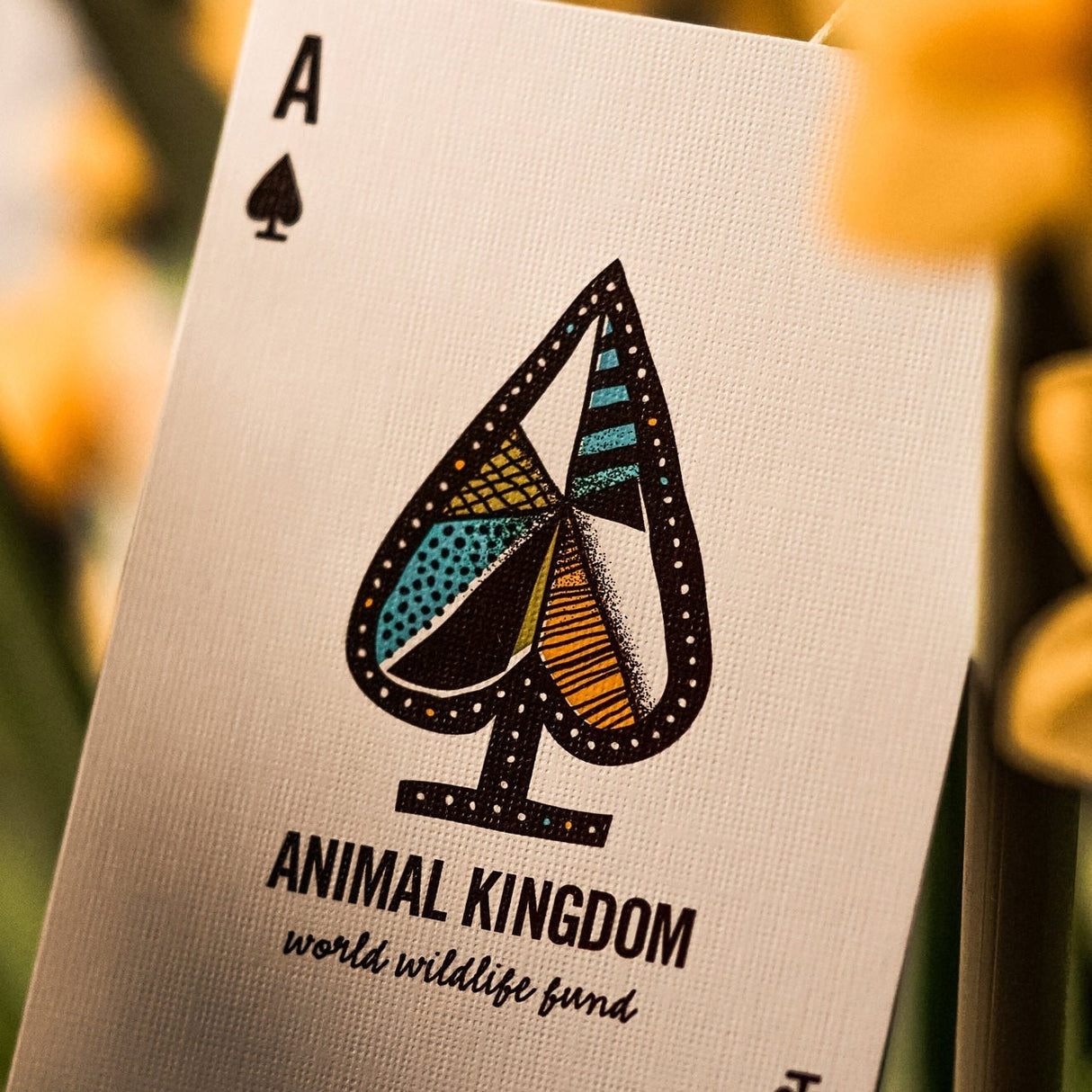 Theory11 Animal Kingdom Playing Cards