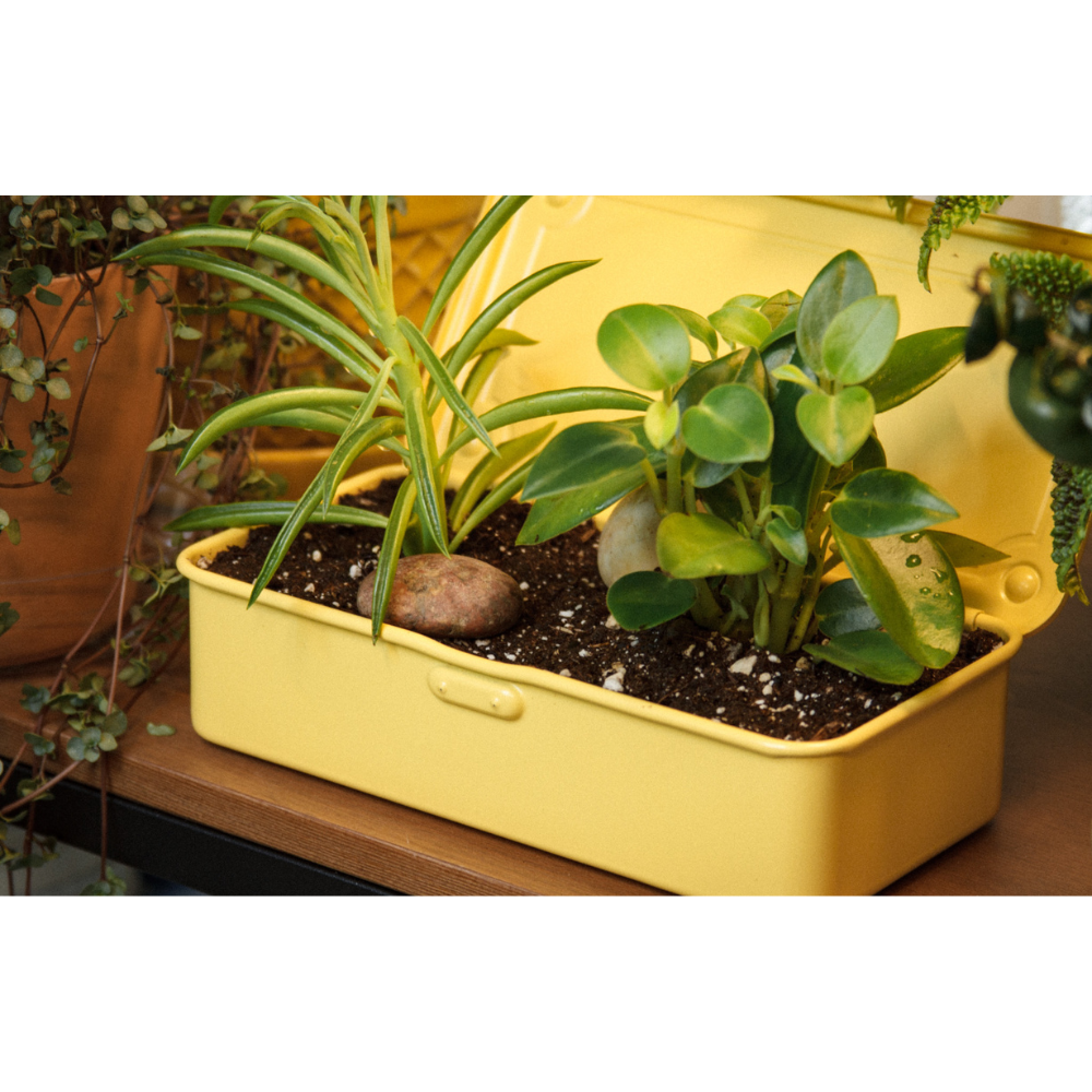 Toyo Steel Trunk Shape Toolbox T-190