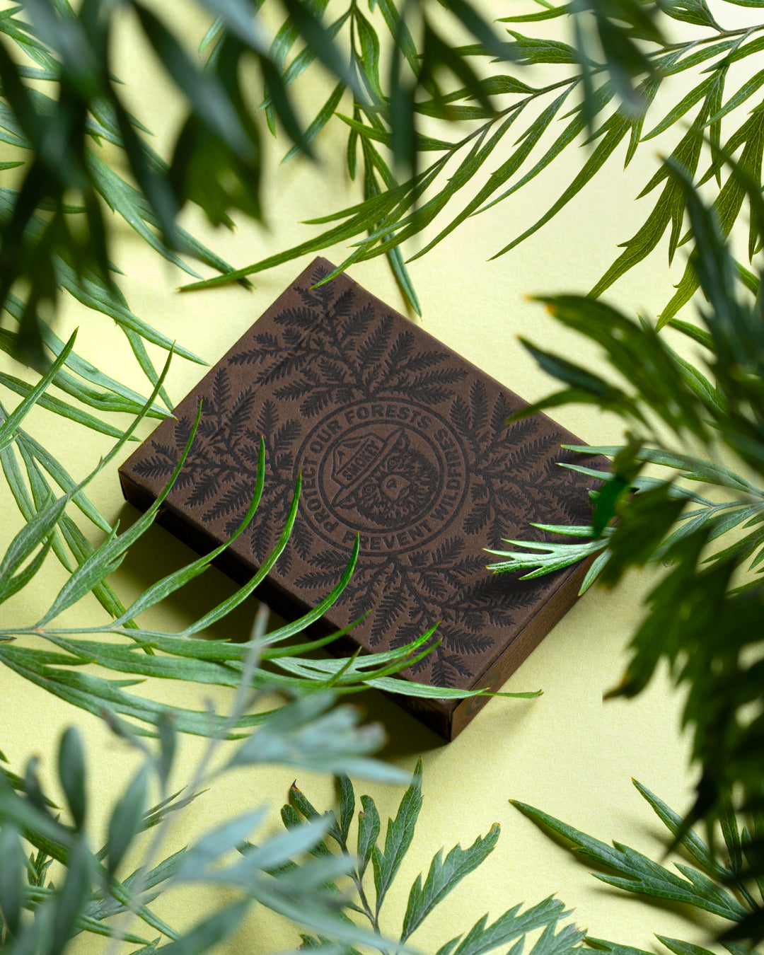 Smokey Bear Playing Cards