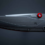 A100 - Veitsi