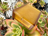 Slide Box Ultem®