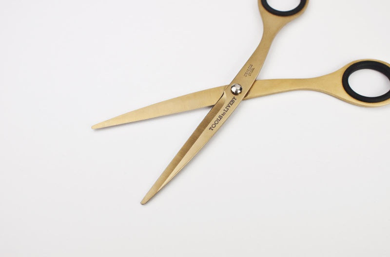 Scissors 6.5" - Sakset