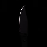 Ti Lookout Fixed Blade - Veitsi