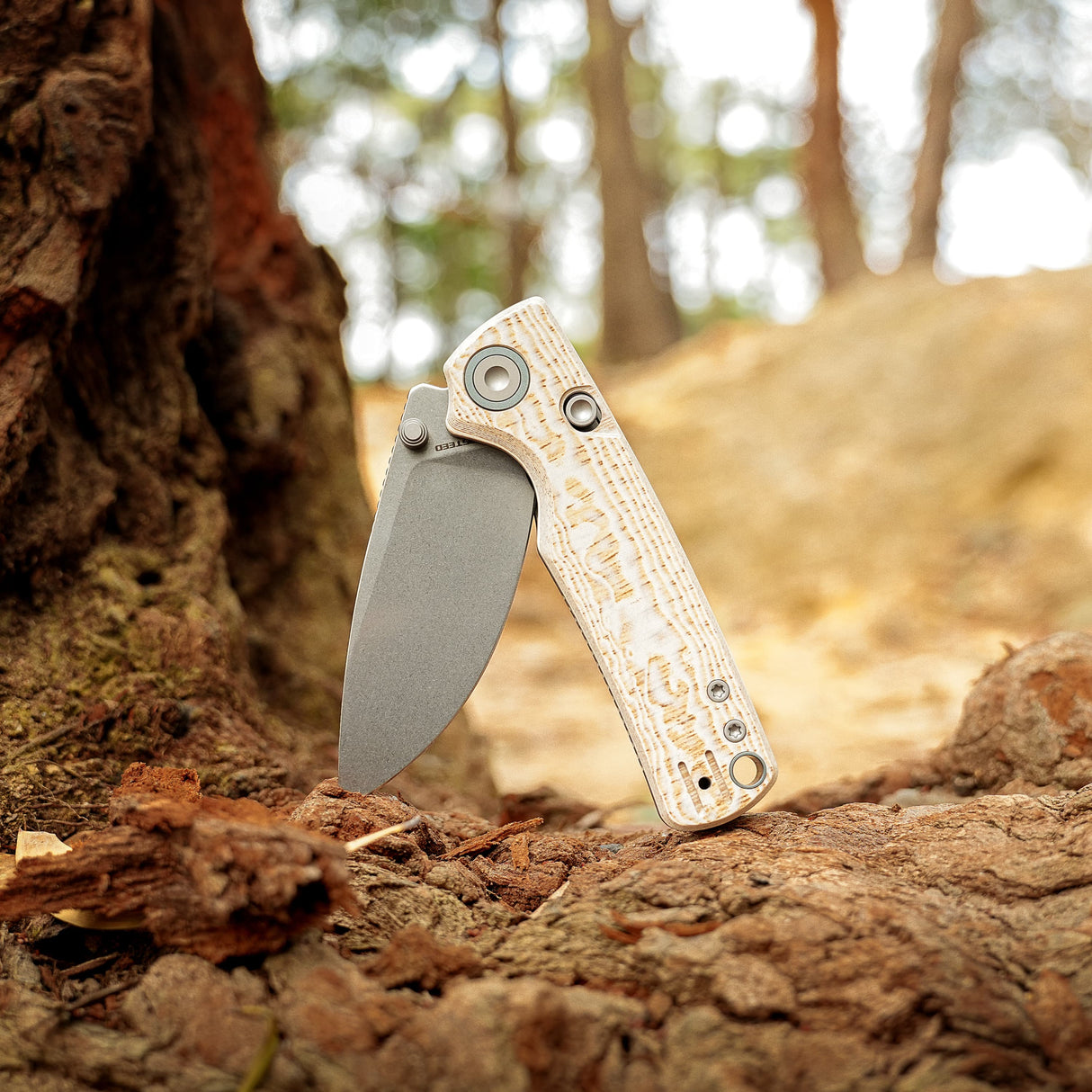Porcupine-Thumbstud-A2626__16.jpg