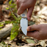 Porcupine-Thumbstud-A2626__19.jpg