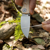 Porcupine-Thumbstud-A2626__20.jpg