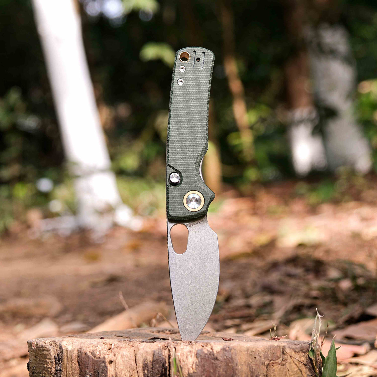 Porcupine Knife