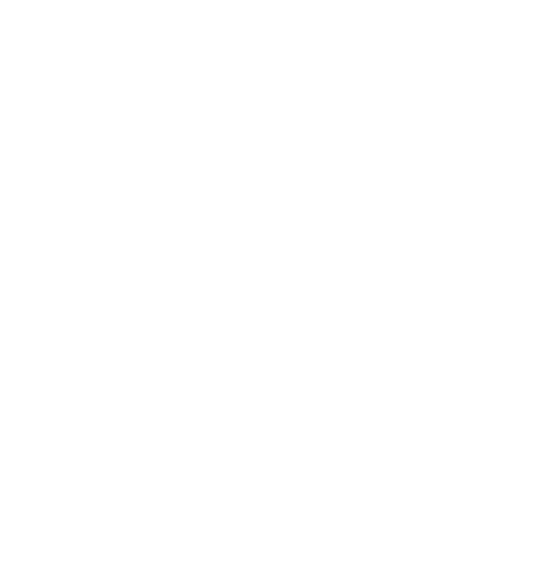Ansø of Denmark logo