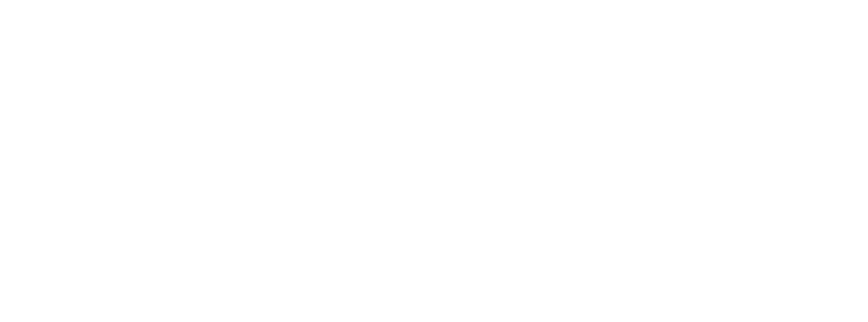 Ansø of Denmark logo