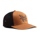 Butterfly Cap