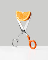 Craighill Spectra Scissors