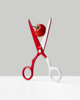 Craighill Spectra Scissors