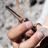 CW&T Little Scissors