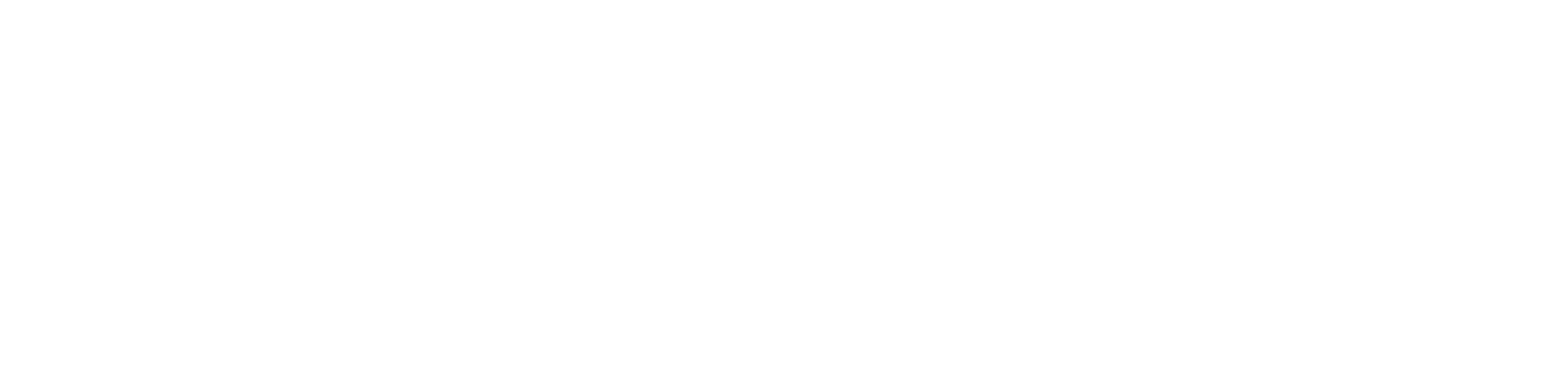 NexTool logo