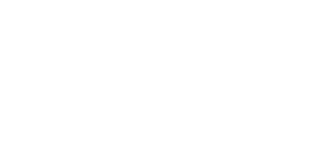 Paladin33 logo