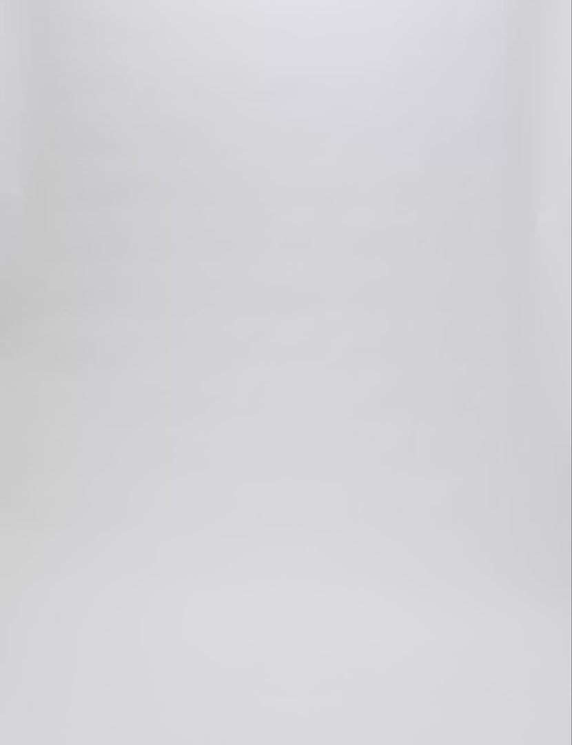 Lite Sling 2 L