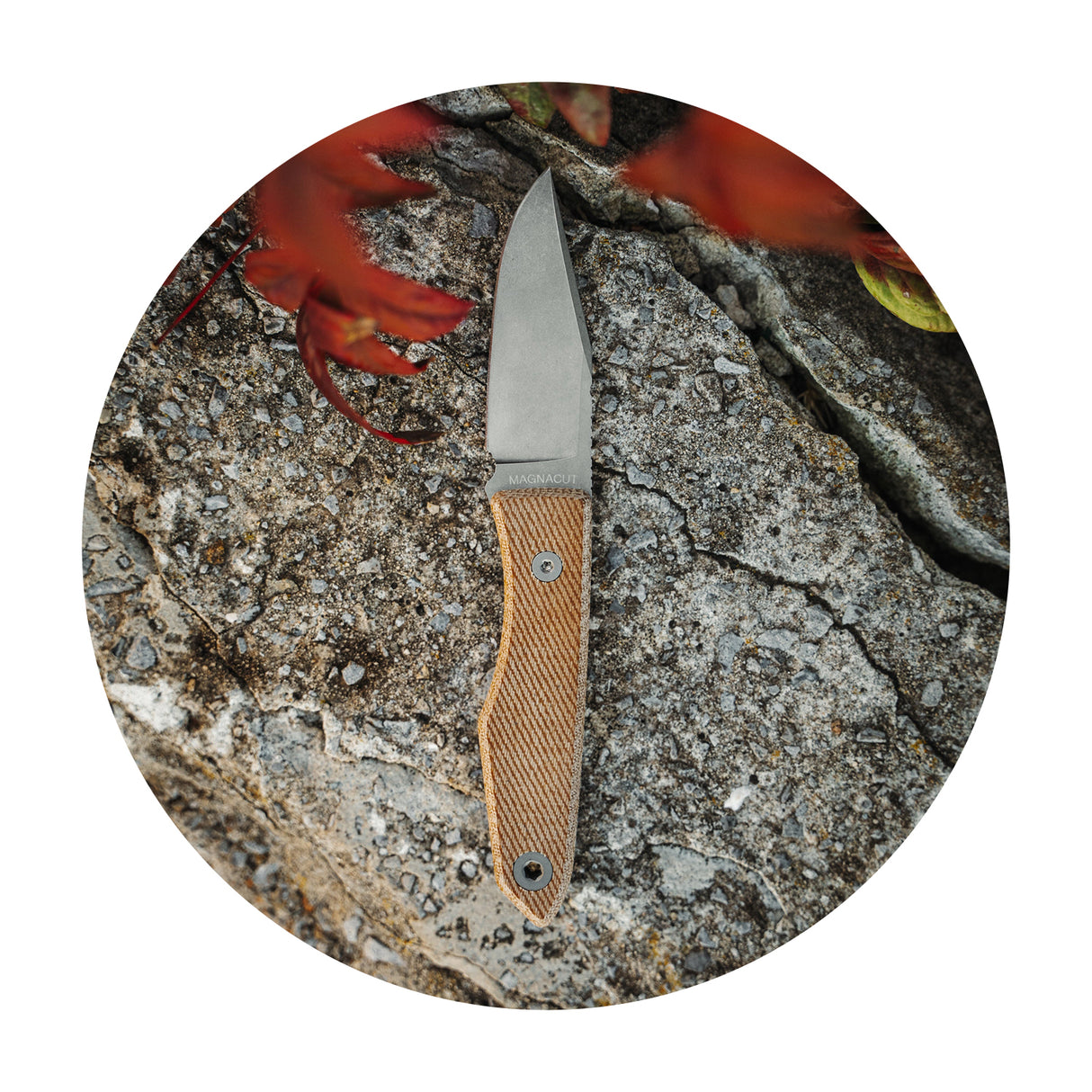USA Lookout Fixed Blade Knife