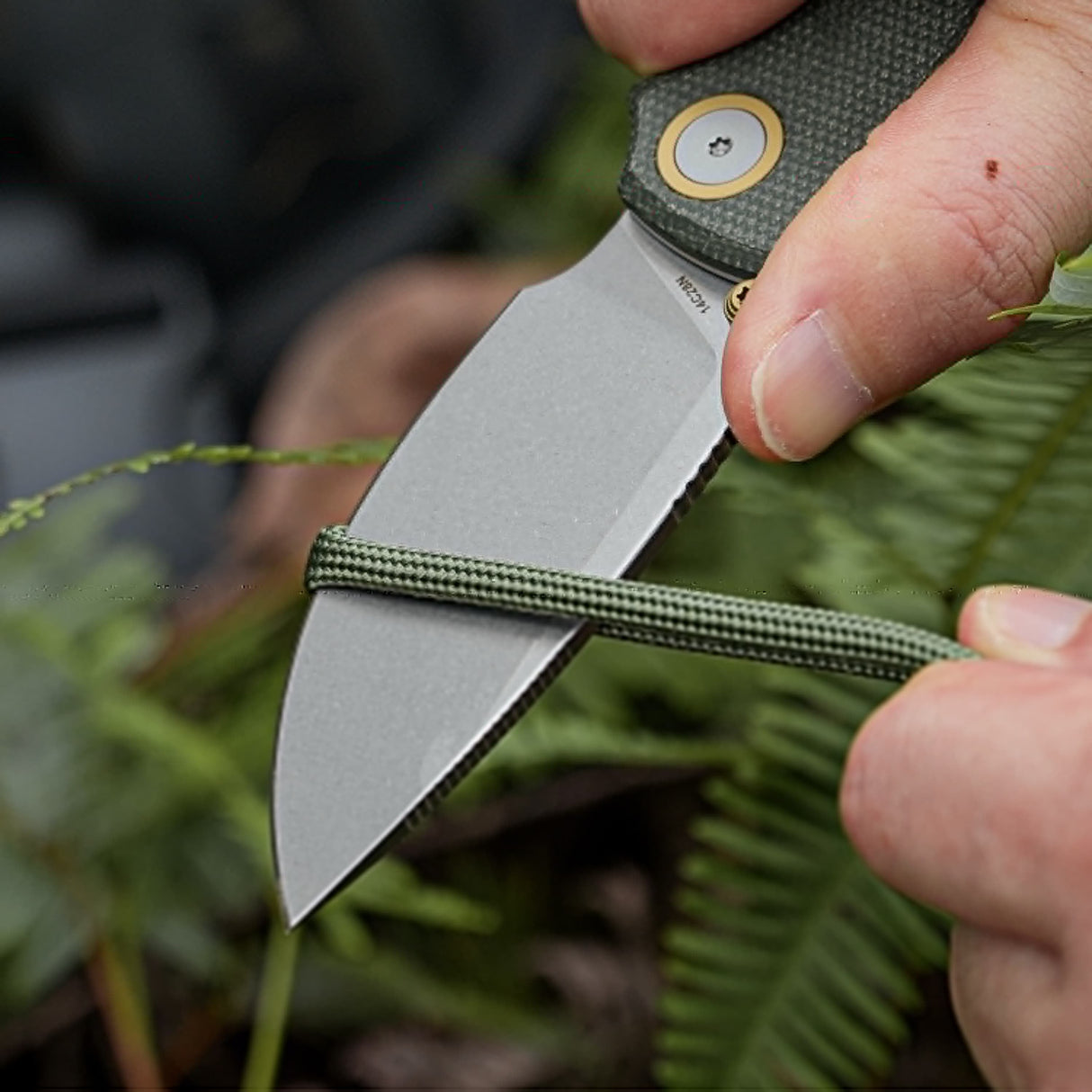 Vosteed Porcupine Thumb Stud Knife