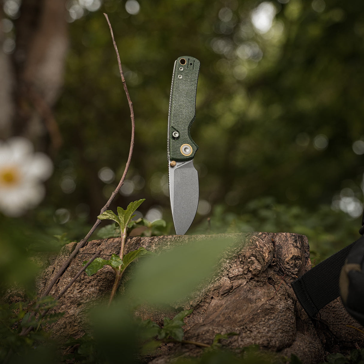 Vosteed Porcupine Thumb Stud Knife
